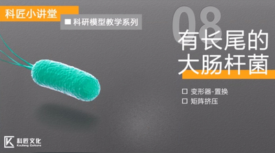 科匠小讲堂 | 科研模型教学系列【8】：有长尾的大肠杆菌